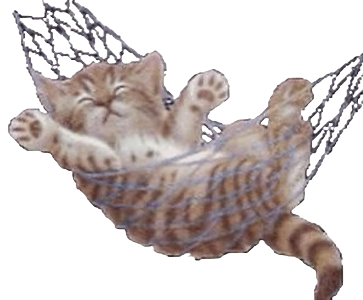hammock