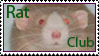 stamp 2
